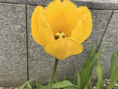 -沈阳植物园