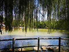-莲湖公园