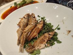 -大张烙馍村(泉山店)