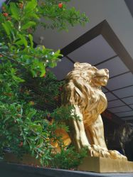 点击看大图 -中国黄金(北京旗舰店)