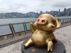 -星光大道