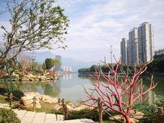 -光明港公园