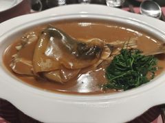 河豚-沈灶河豚宴·河豚融合餐厅(汉中路店)