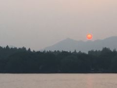 -西湖外事游船(花港观鱼码头)