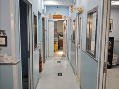 -纳吉亚猫专科动物诊疗中心(蒋宅口分院)