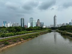 -万绿园