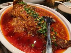 家常豆瓣鱼-芙蓉凰花园酒楼