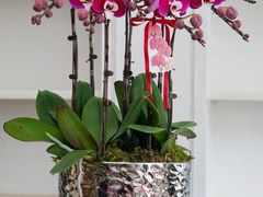 -F.Story 花和故事(新天地店)