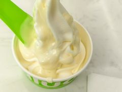 -Salud撒露欧洲冻酸奶(五道口购物中心店)