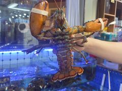 -日照大牌檔•小船海鲜(万平口店)