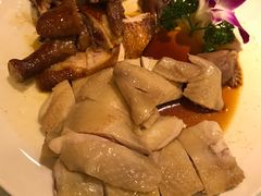 -顺德佬华侨城店·商务宴请·团建