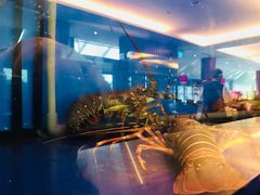 -泰国村酒楼(室内体育馆店)