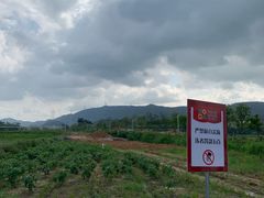 -光明小镇欢乐田园