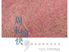 -艾溪湖湿地公园