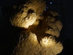 -游龙石文化科普馆