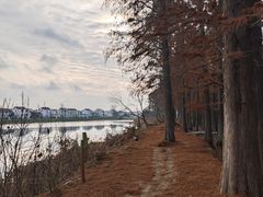 -渌洋湖湿地公园