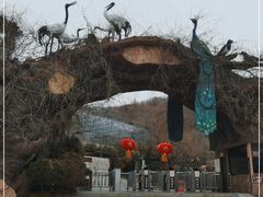 -石老人观光园