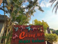 -清迈夜间动物园