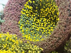 -杭州植物园