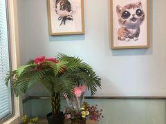 -纳吉亚猫专科动物医院博雅分院