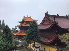 -东天目山风景区