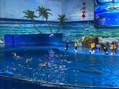 -多彩贵州城极地海洋世界