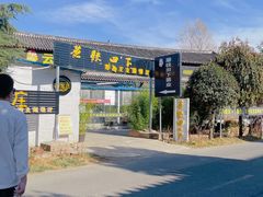 -蘑统田下·野生菌火锅