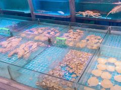 -梦都海鲜酒家(万达广场江桥店)