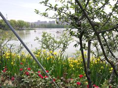 -昆山城市生态森林公园