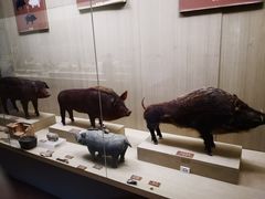 -中国农业博物馆
