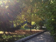 -吉林大学(南岭校区)