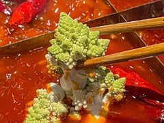 -洞子口重庆鲜货火锅(楚翘城旗舰店)