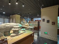 -帕帕拉兹宠物(亚洲旗舰店)