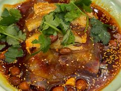 -陈麻婆豆腐总店