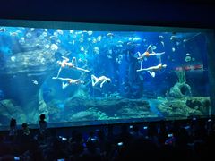 -多彩贵州城极地海洋世界