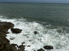 -广东惠东海龟国家级自然保护区