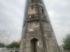 -上海佘山国家森林公园天马山园