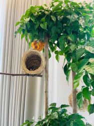 -新蝶变皮肤管理中心