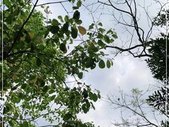 -银瓶山森林公园(谢岗镇)