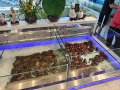-春华海鲜城(广场西苑店)