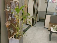 -半岛宠物医院24小时(西派城店)