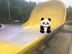 -重庆海昌加勒比海水世界