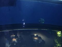 -正佳极地海洋世界