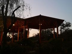 -思念果岭悦温泉