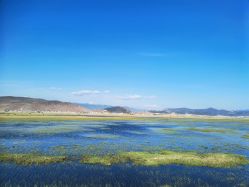 -纳帕海依拉草原