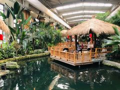 -南宫五洲植物乐园