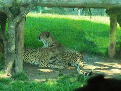 -北京野生动物园