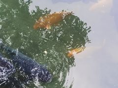-杭州植物园