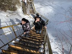 -青峰峡国家森林公园