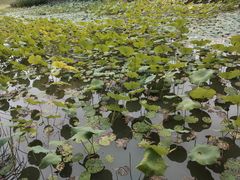 -中国天府农业博览园